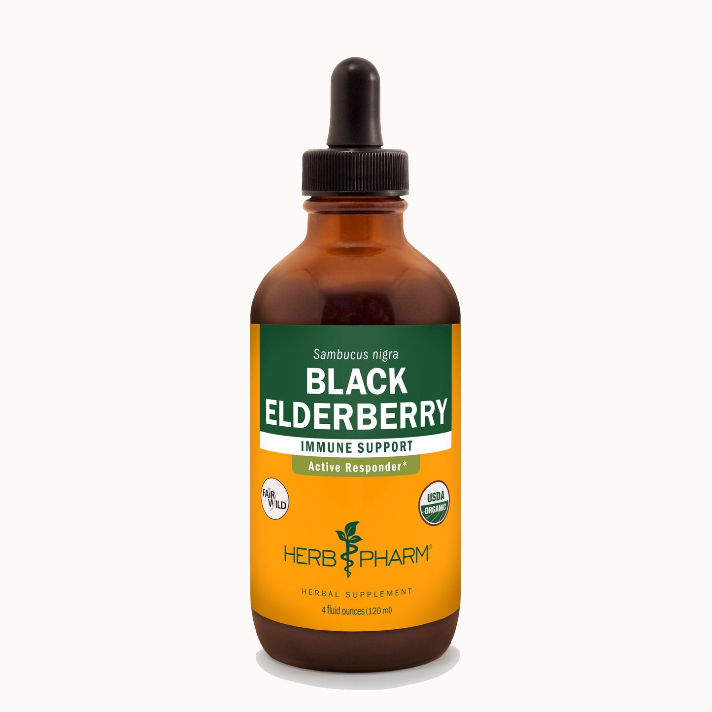 Black Elderberry