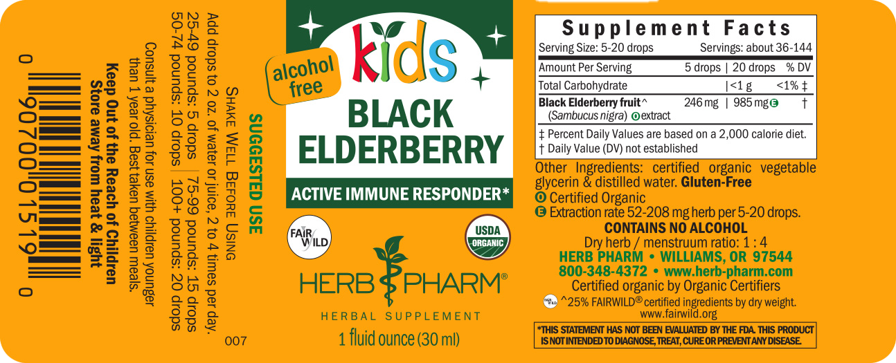 Kids Black Elderberry