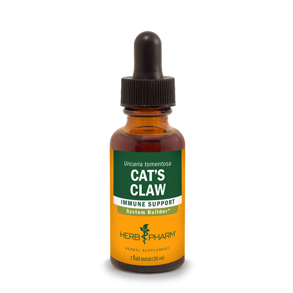 Cat's Claw Tincture - good Bulk Size 8 Oz Uncaria Tomentosa Extract - Handmade Herbal Remedy by Ecstatic Earth