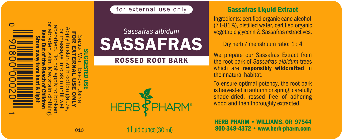 Sassafras