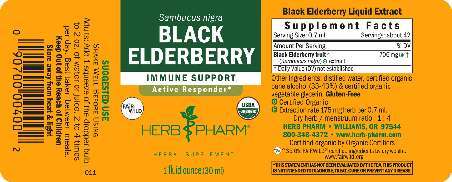 Black Elderberry