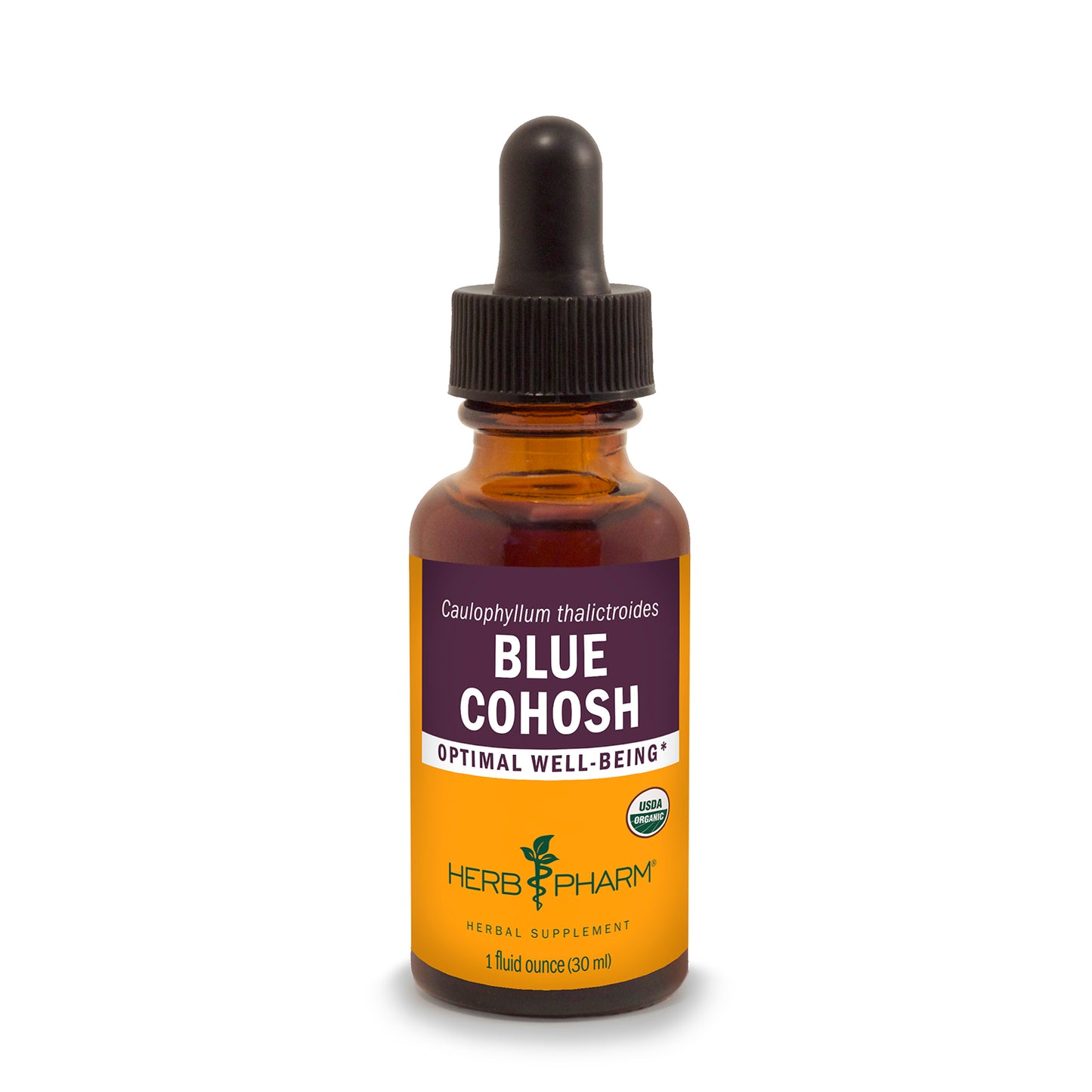 Blue Cohosh