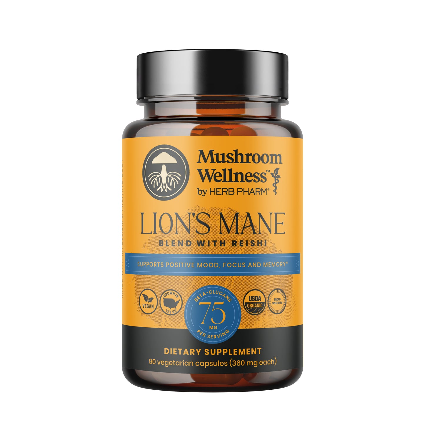 Lion’s Mane Blend